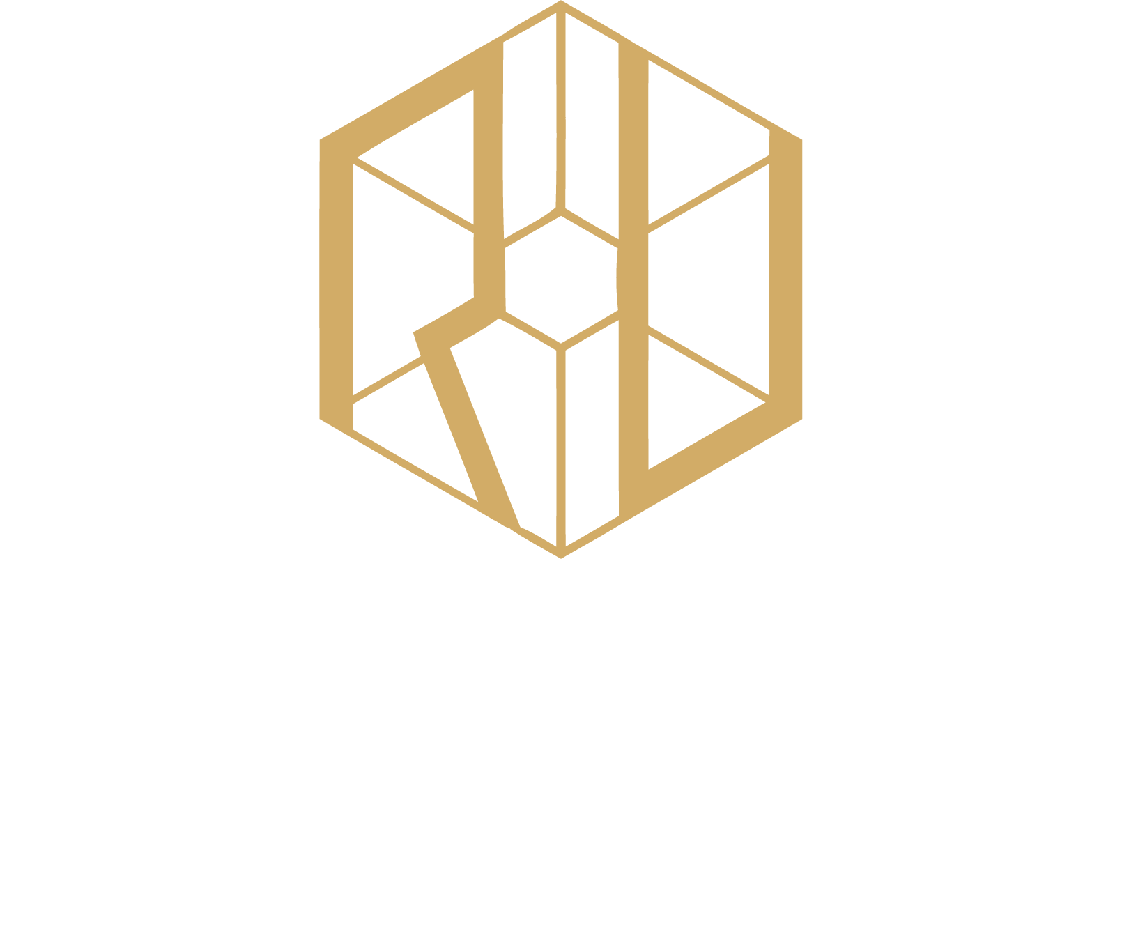 Dr.roqueudson